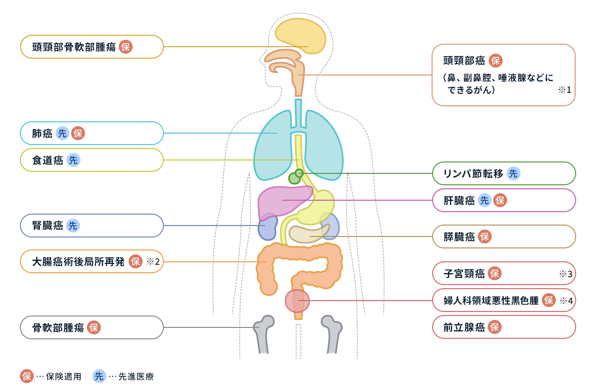 重粒子線で治療できるがん