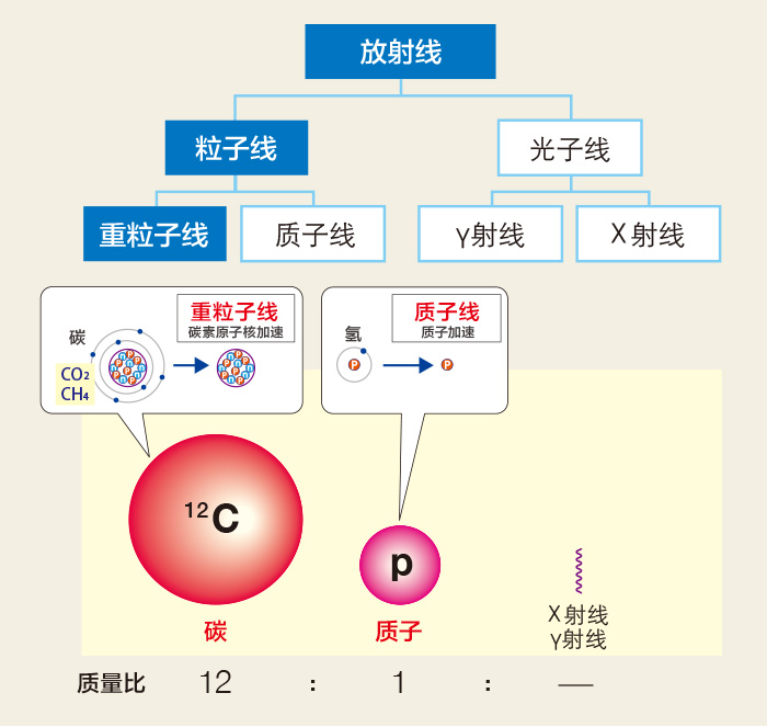 使用于癌症治疗的主要放射线