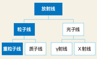 重粒子线治疗的特长