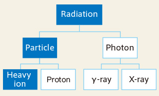 Features of heavy ion therapy
